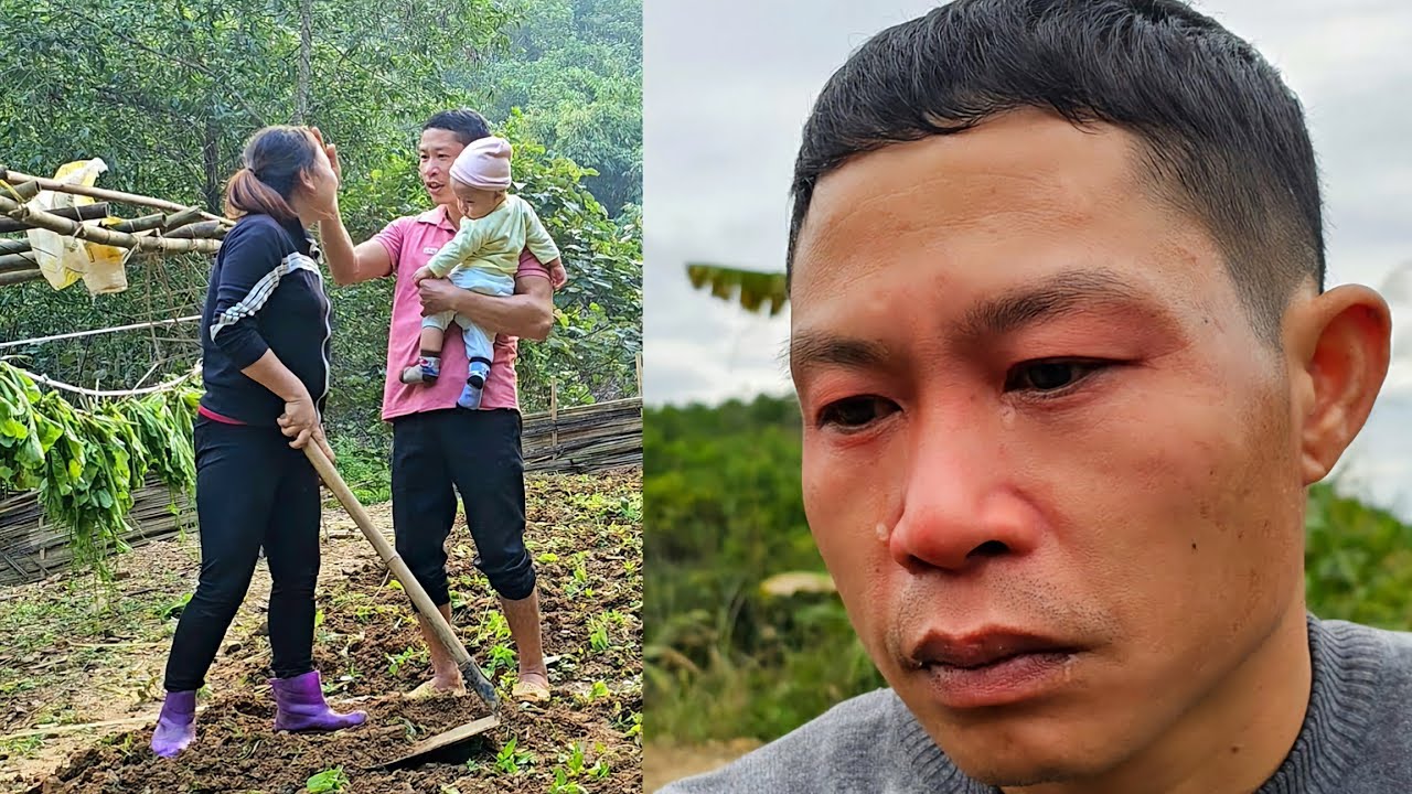 full video: Happiness returns when all misunderstandings are resolved | Daily life