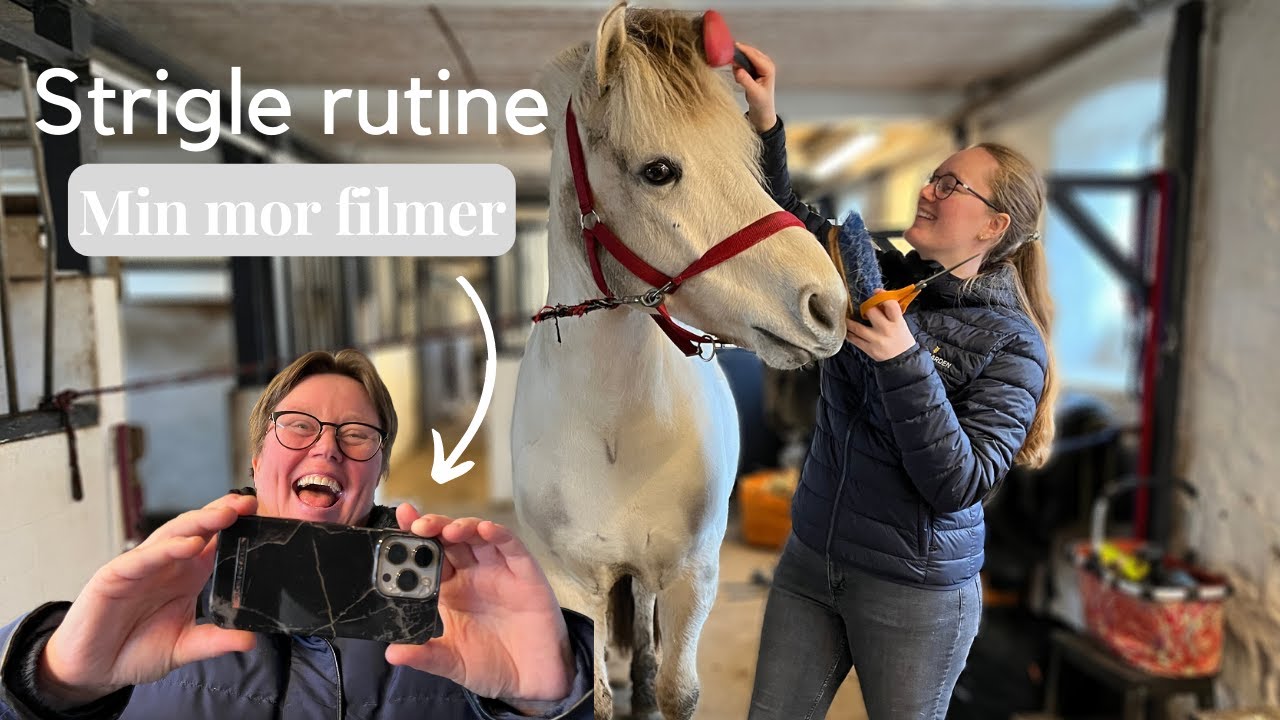 Min strigle + klippe rutine  #Hvordan jeg klipper en fjordhest´s man