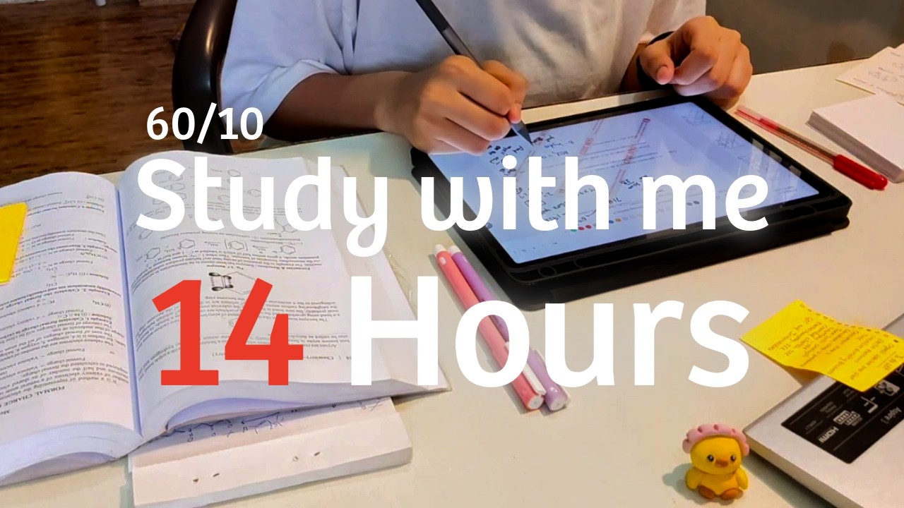 LIVE | 14 Hours study with me | Rain sound | 60 min study, 10 min break