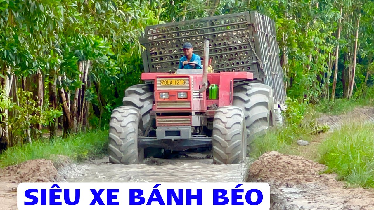 3 Chiếc máy cày fiat mui trần chở củ mì hồ dầu tiếng