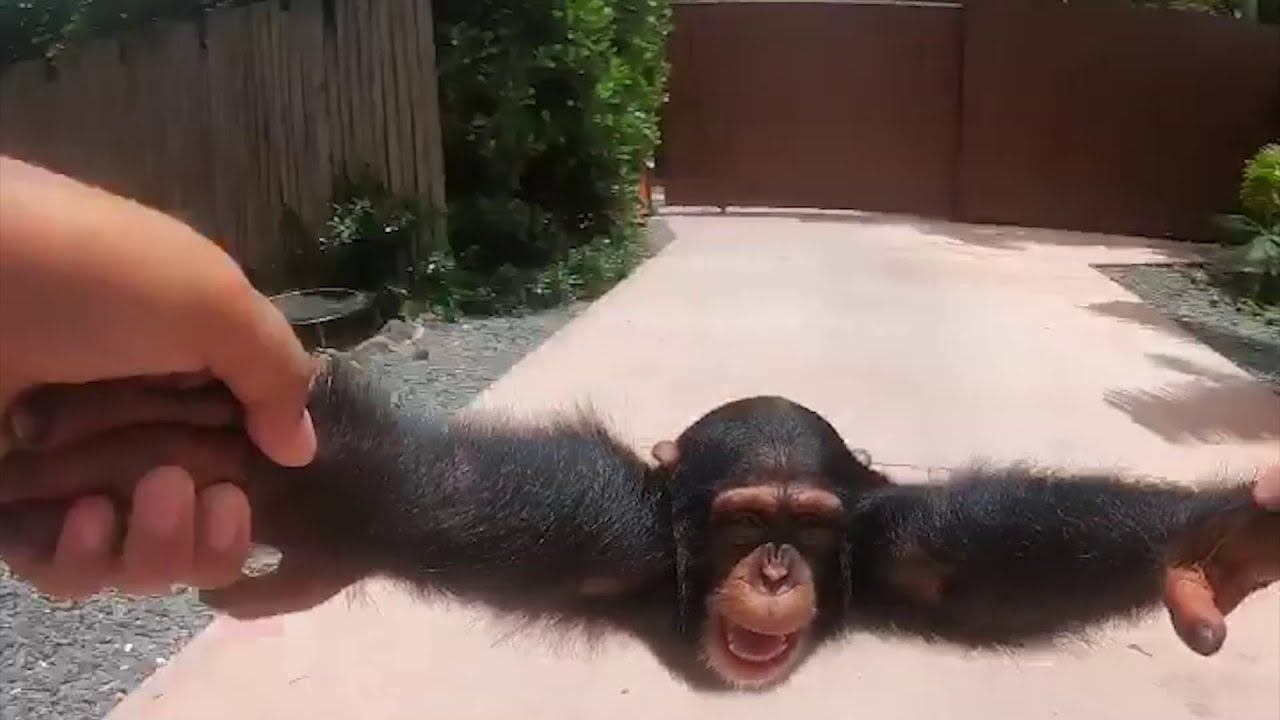 Life Could Be A Dream Remastered 4k Upscaled