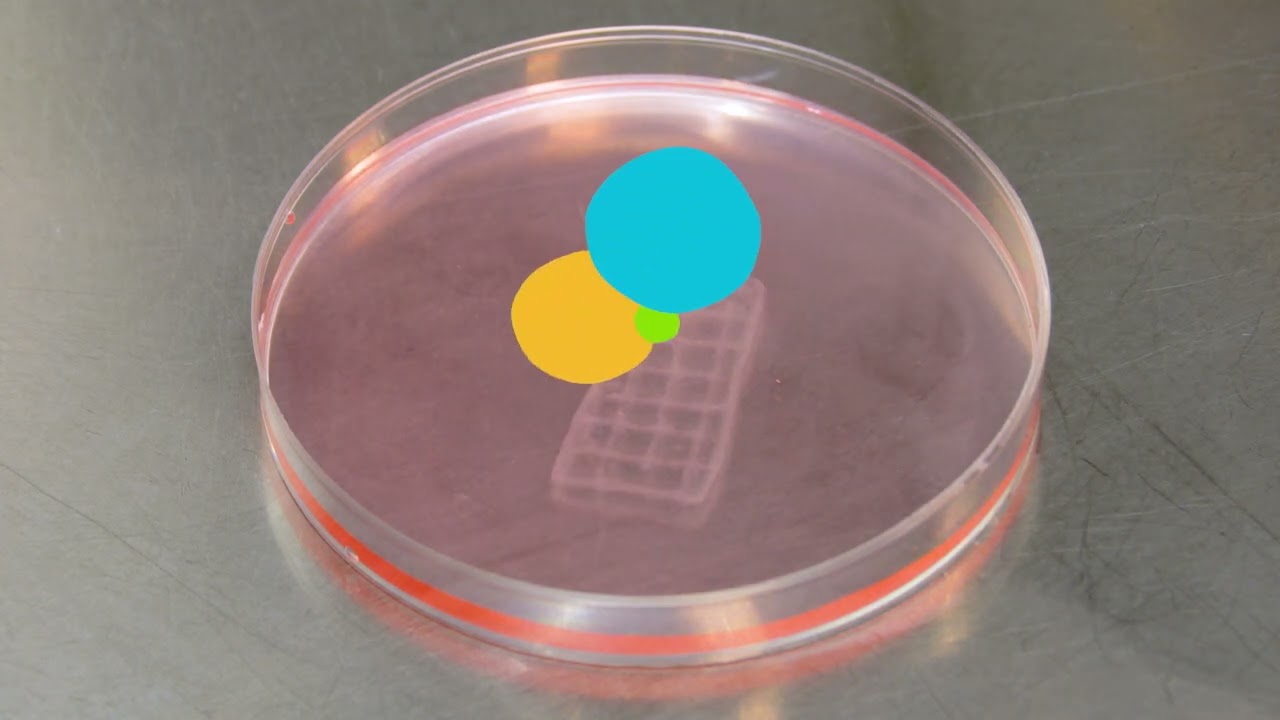 Unidad de BIOIMPRESI&Oacute;N 3D IMIBIC