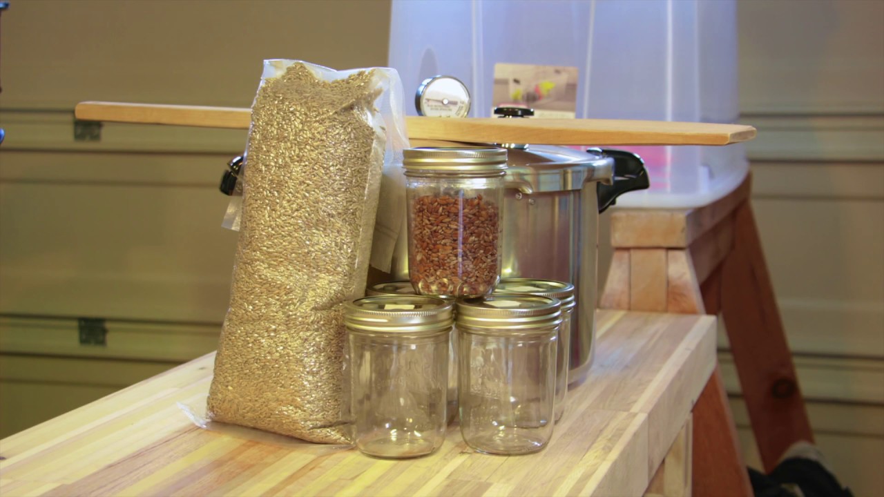 How I Prepare and Sterilize Jars of Rye Grain to Make Grain Spawn for Growing Mushrooms