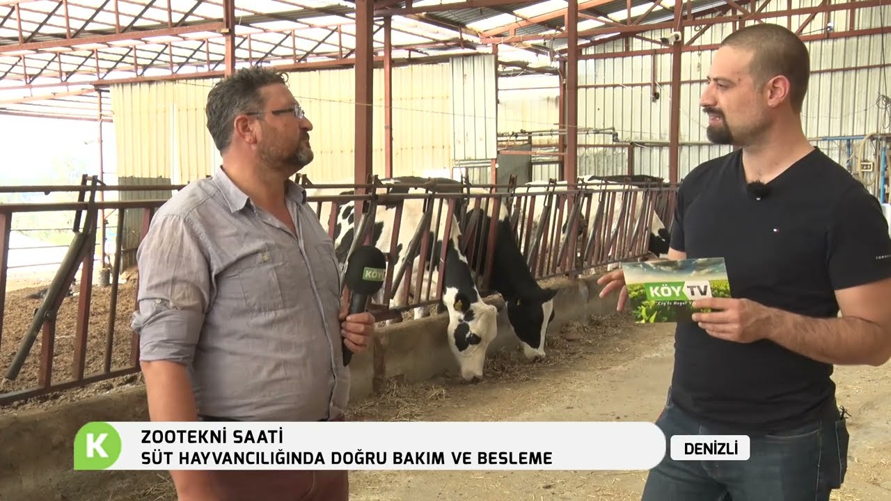 SÜT HAYVANCILIĞINDA DOĞRU BAKIM VE BESLEME | ZOOTEKNİ SAATİ
