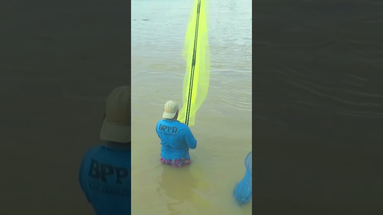 ini kalimantan ya bossss... menangkap ikan hanya dengan alat tradisional sederhana #inikalimantan