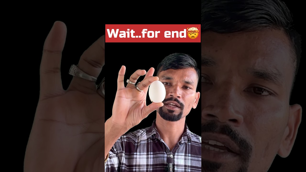 Floating Egg 😳 Magic or Science?