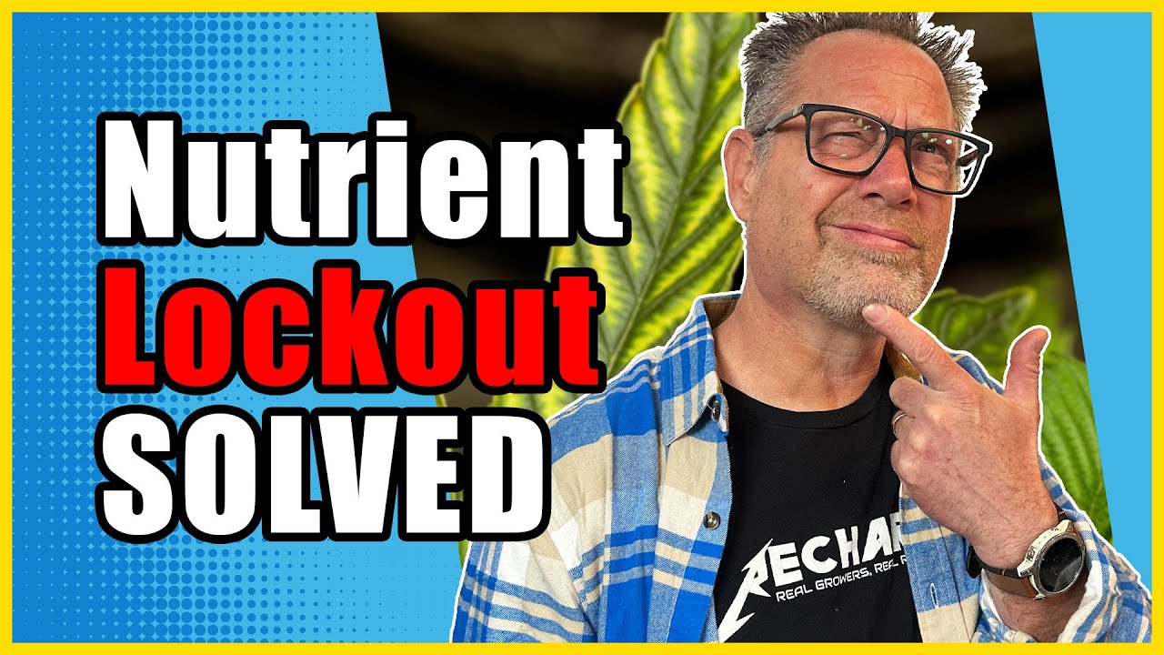 Pro Cannabis Growers Use THIS Trick to Stop Nutrient Lockout Problems for Good