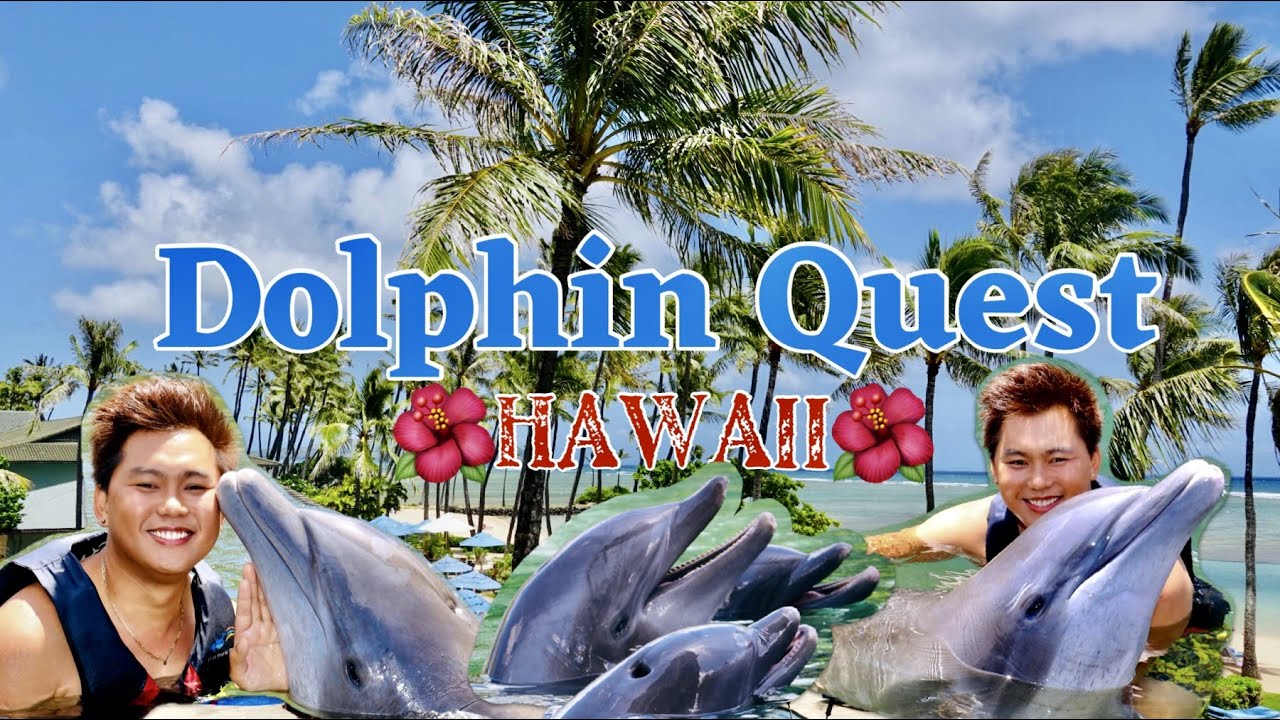 DOLPHIN QUEST ADVENTURE  l OAHU l HAWAII VACATION 2021 🌺 l KAHALA HOTEL&RESORT l Rey Watkins Journal