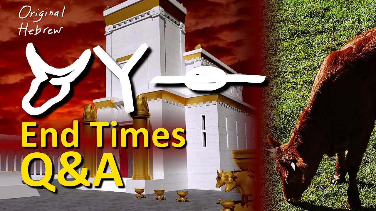 Q&A #9 | Two Witnesses, Red Heifer, Abomination of Desolation, and more