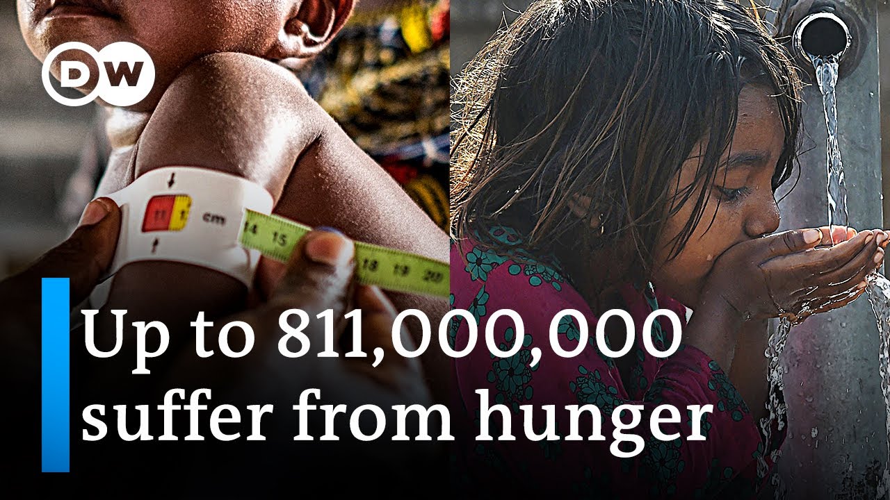 Is UN's goal of zero world hunger by 2030 moving out of reach? | DW News