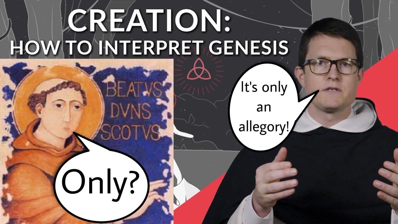 Is the Thomistic Institute Correct About Evolution?