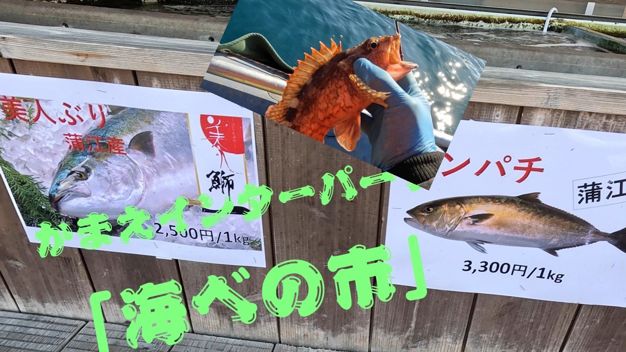 強風で避難…それでも釣る！最後はかまえインターパーク“海べの市”で癒される釣行【ガラカブ・ウマヅラハギ】
