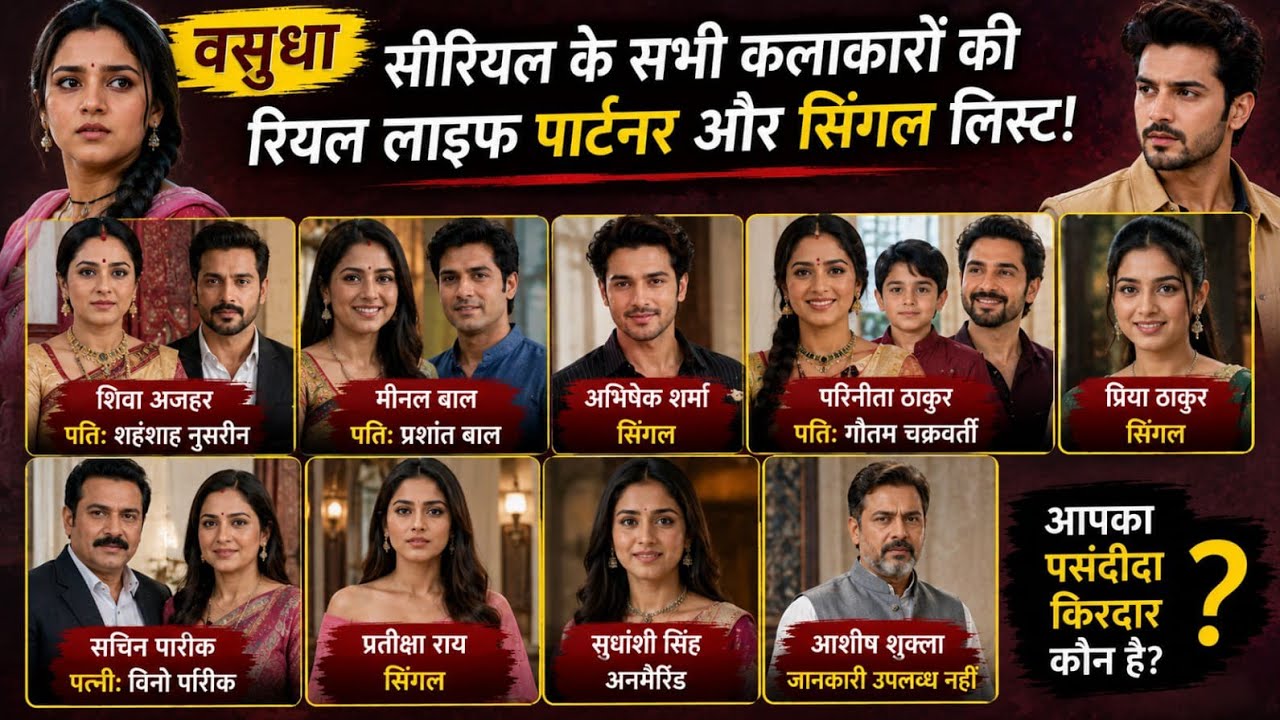 Vasudha Serial Real Life (Love Partner)