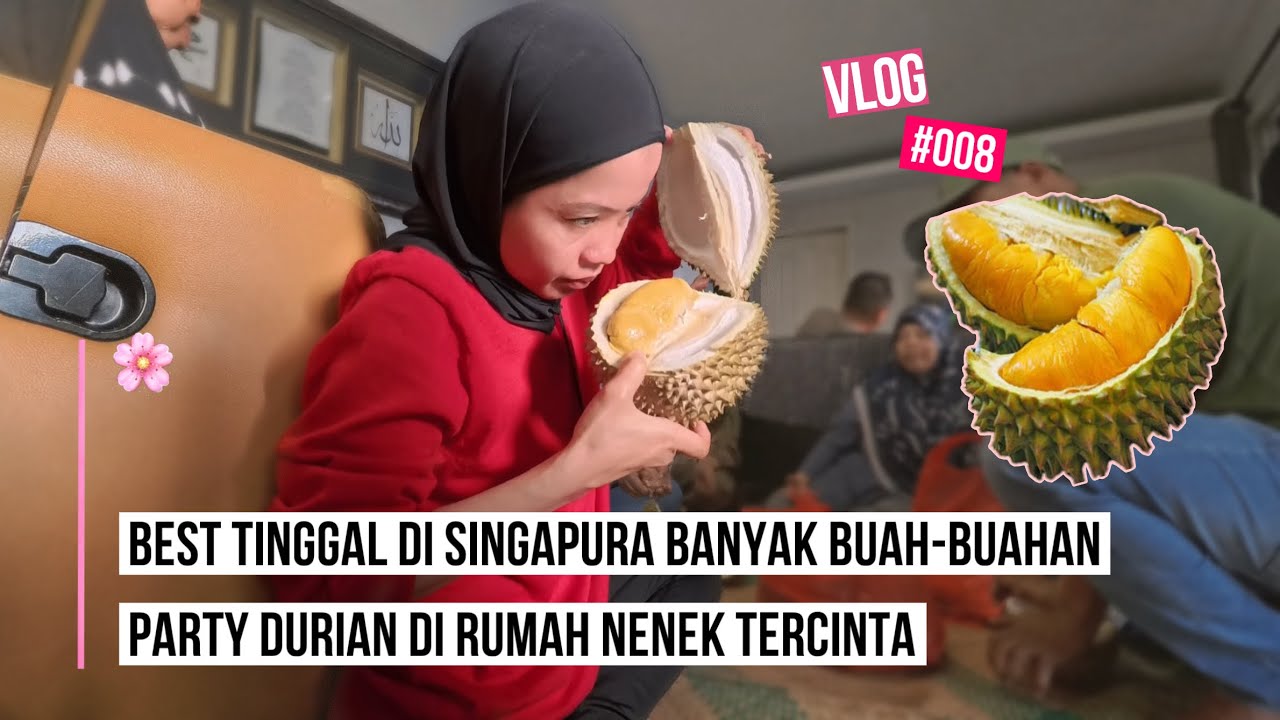 VLOG 008 BUAH-BUAHAN DI SINGAPURA MELIMPAH PADAHAL CUMA NEGARA KECIL 😱 | DURIAN PARTY DI RUMAH NENEK