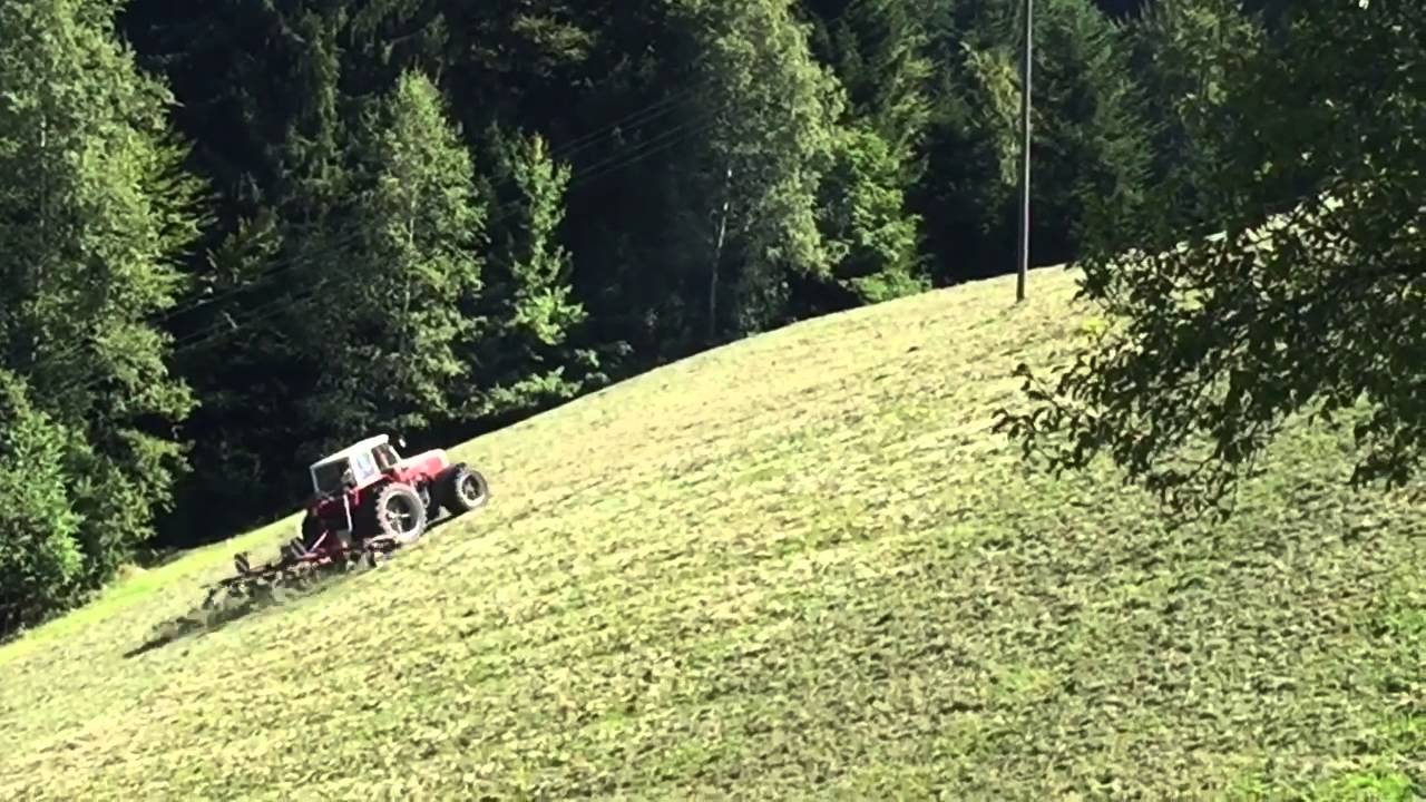Heuen auf dem menzberg