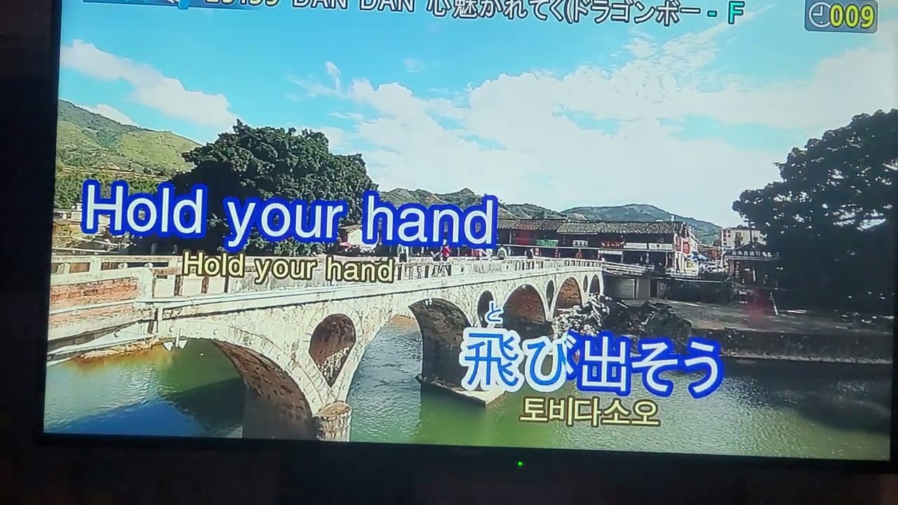 (노래방)FIELD OF VIEW-점점 나의 마음이 끌려(DAN DAN 心魅かれてく) 불러보았다