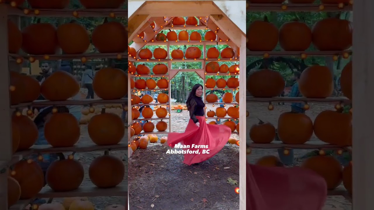 Must Visit Pumpkin Patch in Metro Vancouver and Fraser Valley #pumpkinpatch #angielowis
