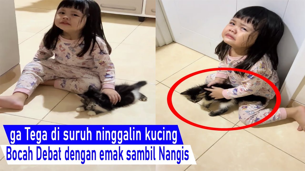 Seru ini bikin Ngakak! Debat Alot Bocah dan Emak Rebutan Kucing sambil Nangis lucu/kompilasi video