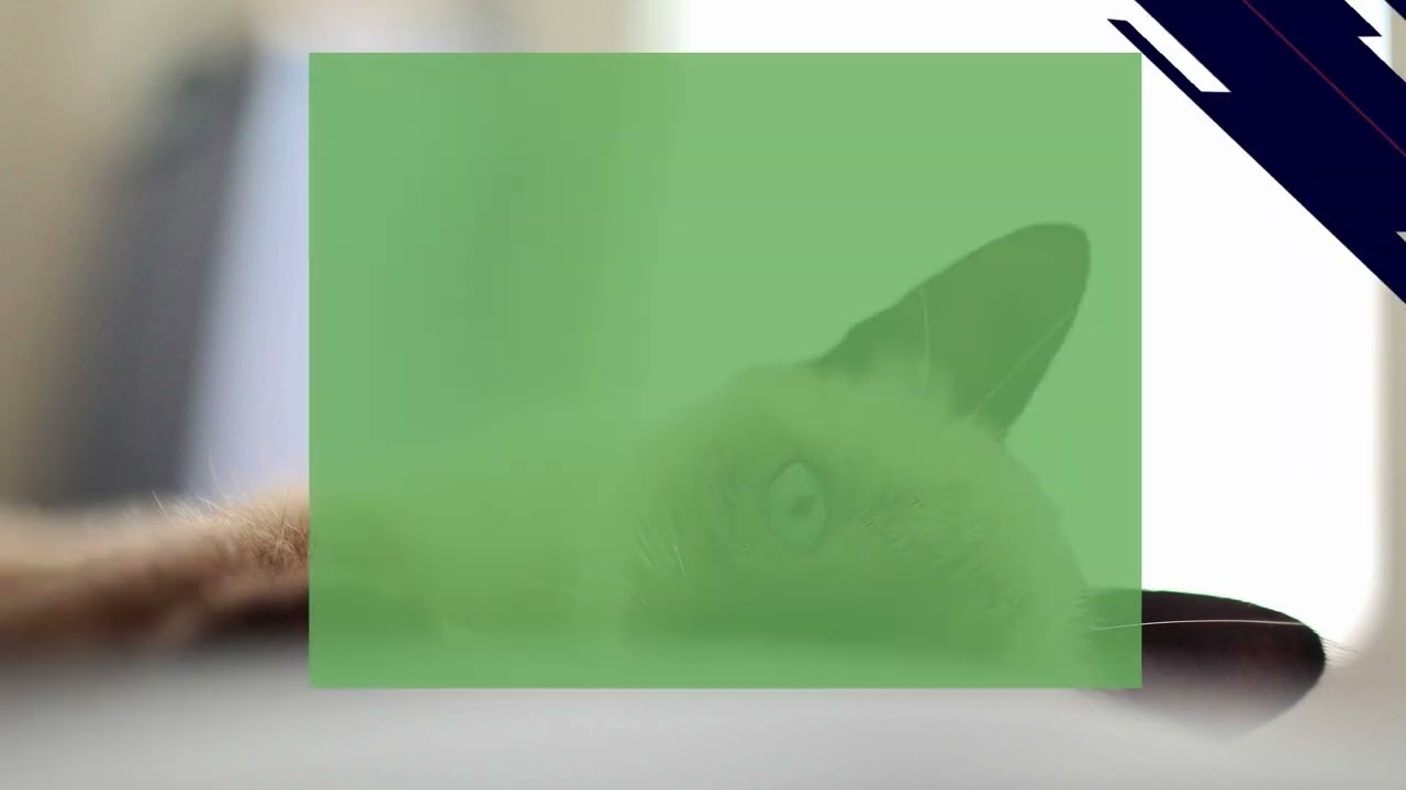 7 Reasons Why Your Cat is Sleeping a Lot More Than Usual.