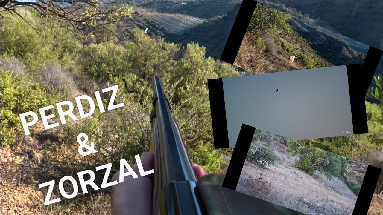 Día complicado entre perdices y zorzales