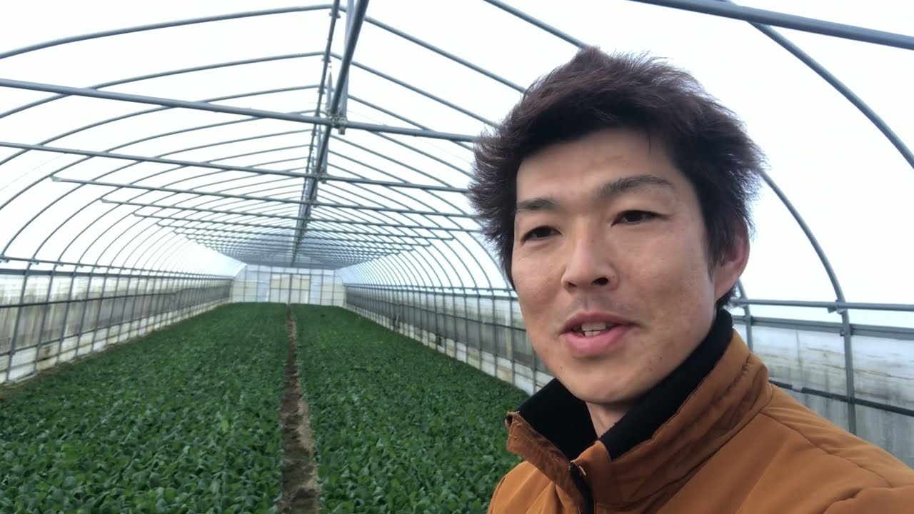 動画撮影トラブル続き。それでもなんとか青ネギ定植完了‼︎