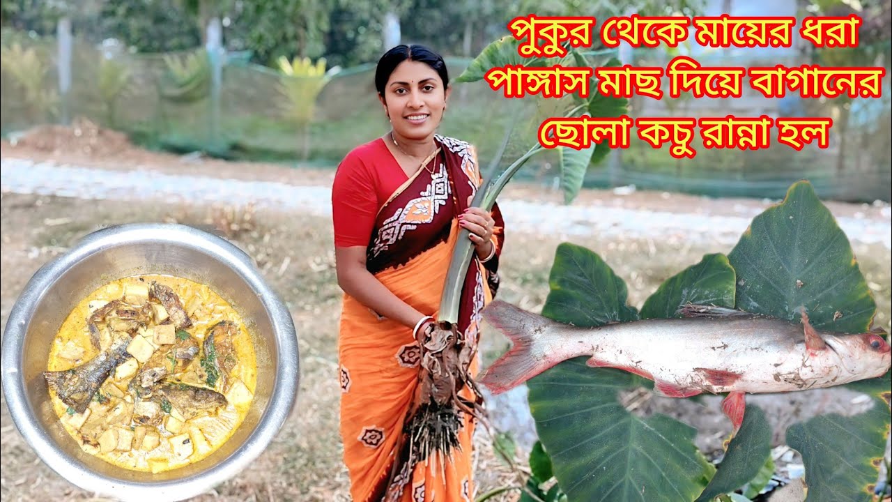 পুকুর থেকে মায়ের ধরা পাঙ্গাস মাছ দিয়ে বাড়ির বাগানের ছোলা কচু রান্না হল। সঙ্গে খাওয়া দাওয়া।