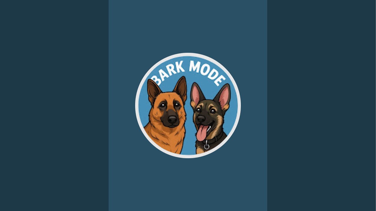 Bark Mode is live! Just cleaning up... come say hello