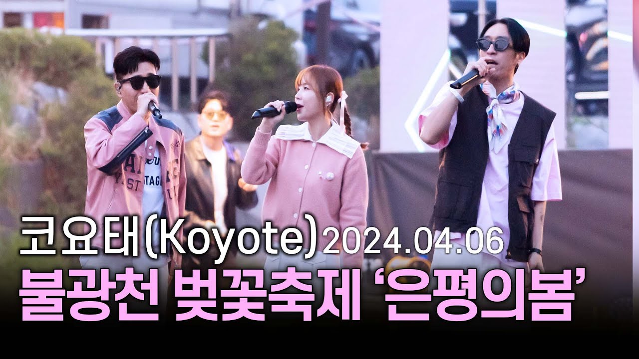 [4K60p] 코요태(Koyote) - 불광천 벚꽃축제 '은평의 봄' | 240406
