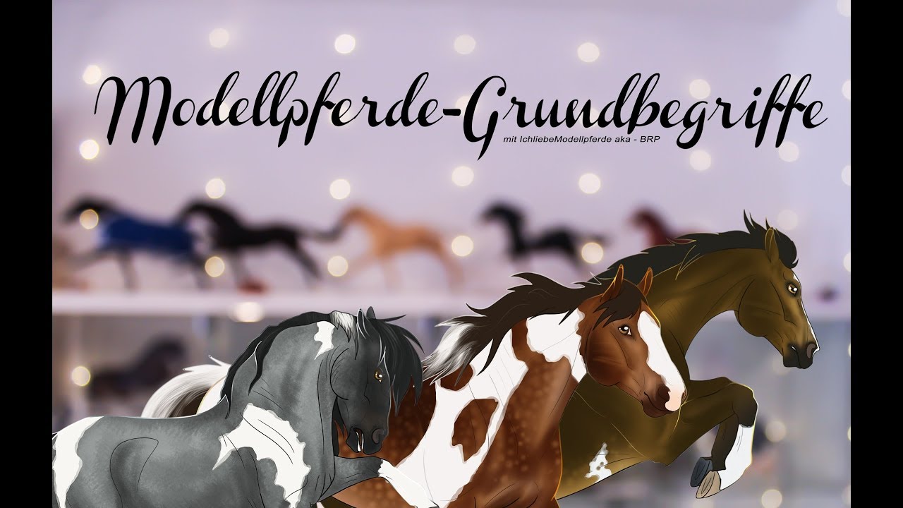 Modellpferde-Grundbegriffe🐎 - einfach erklärt! HD