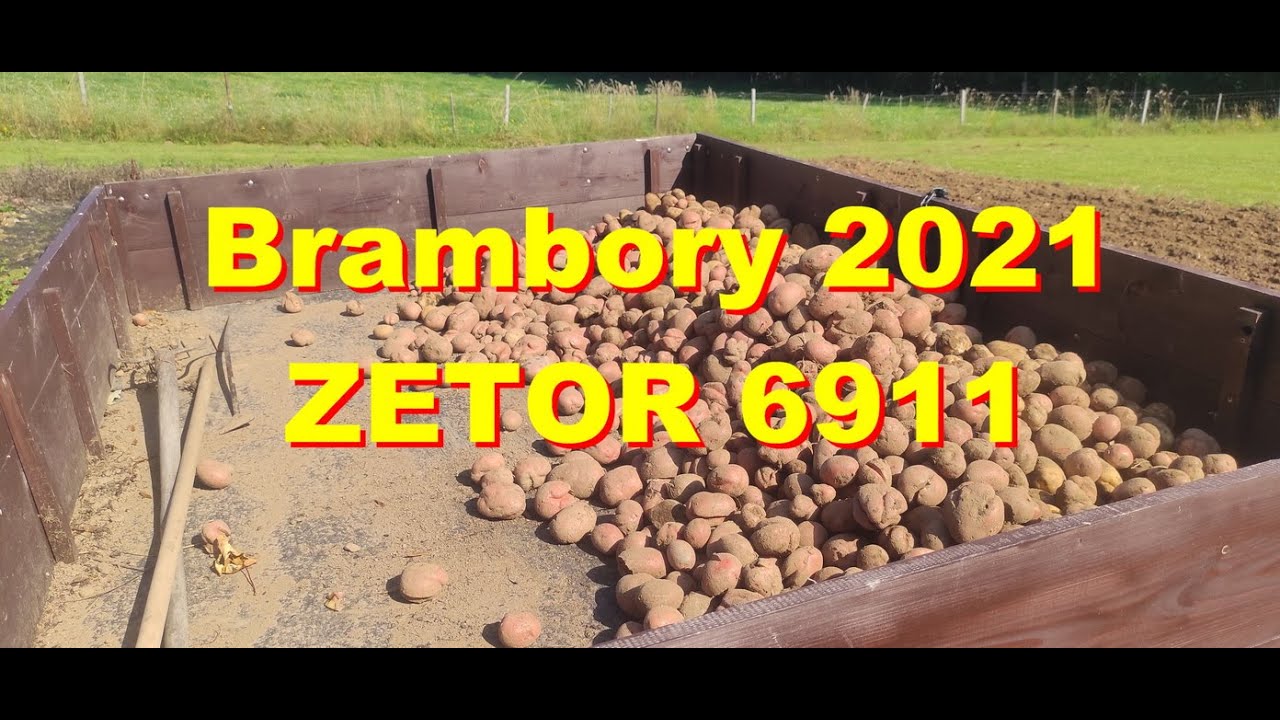 Brambory 2021 // ZETOR 6911 // (Potatoes 2021)