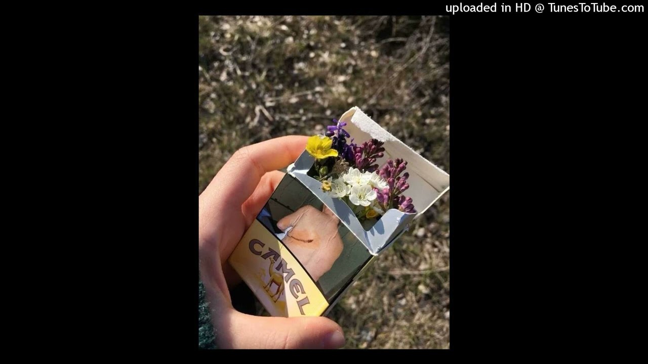 m quiero quedar todo el dia acostao aquí (cover)