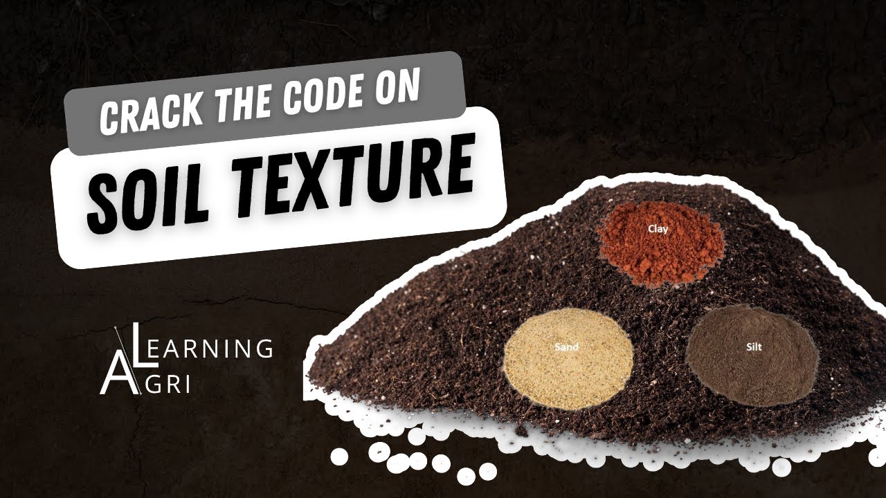 Understanding Soil Texture