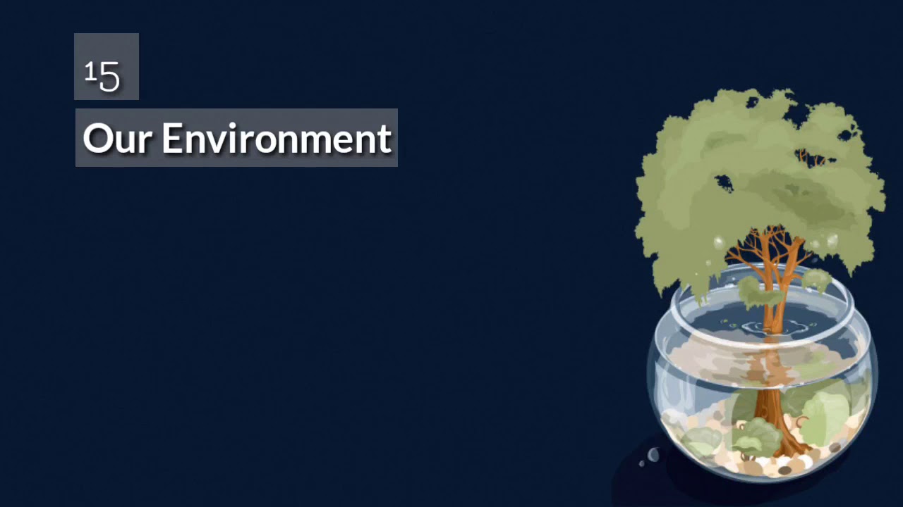 Class 10 Science / Our Environment / Part 1