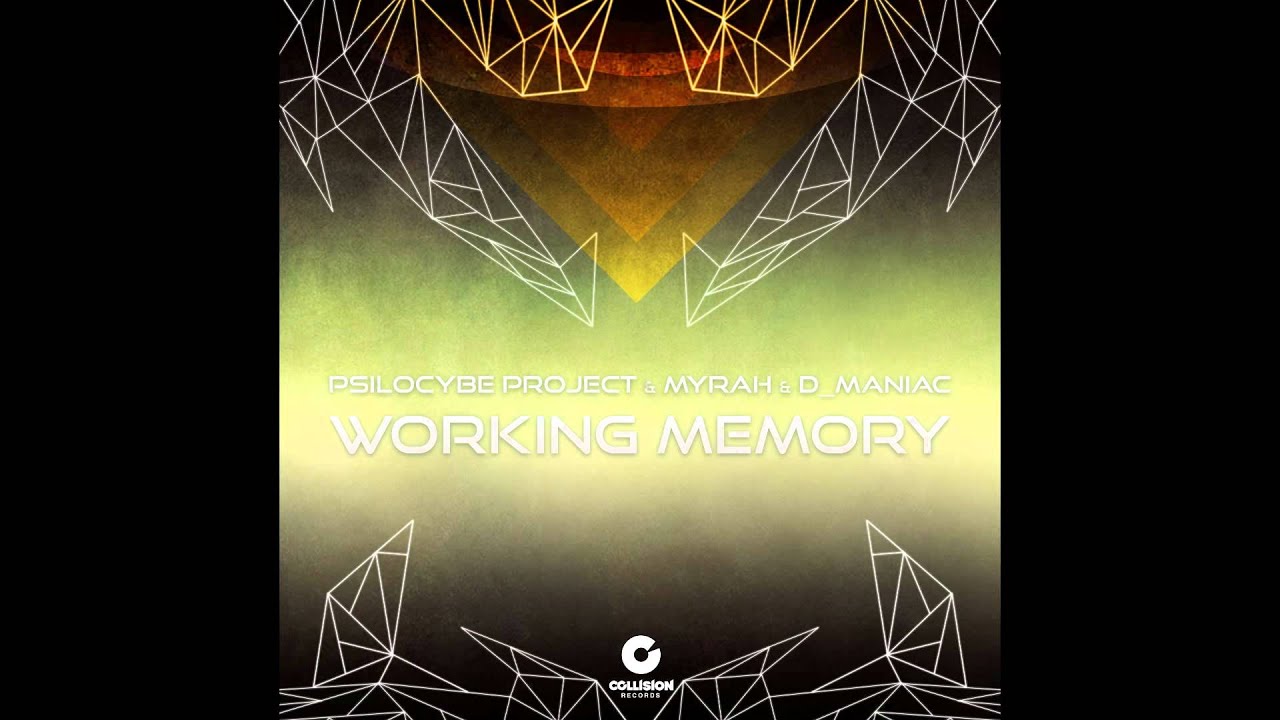 Psilocybe Project & Myrah & D Maniac -  Working Memory