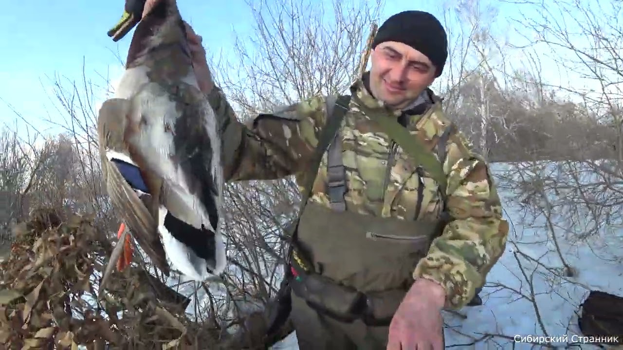Охота с подсадными. Нашли огромный разлив и сели прямо в лесу.