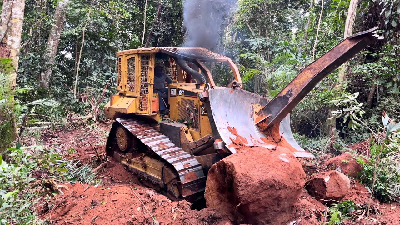 Trator Esteira D6M Arrancando pedra na estrada do manejo florestal sustentável. Mafia da tora