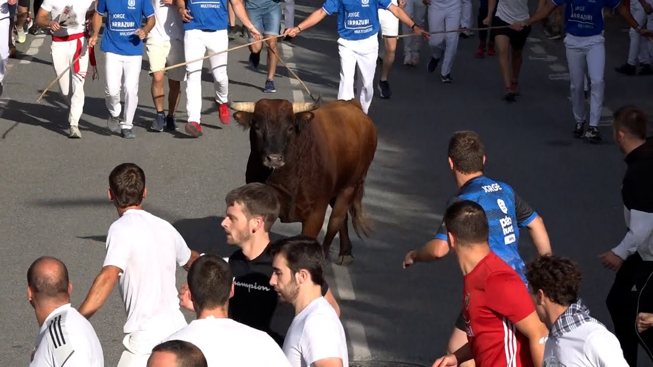 Encierro Tafalla 17-08-2024 // Ganadería RETA Casta Navarra // Fiestas de Tafalla