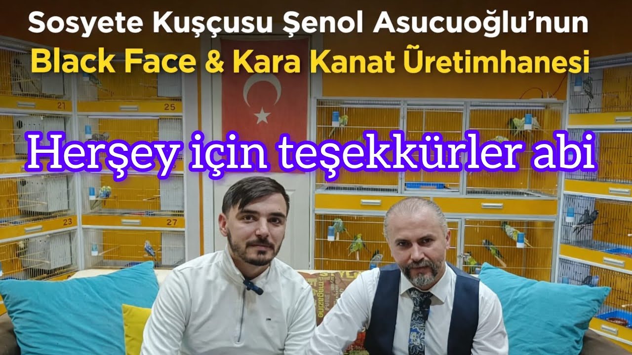 Sosyete Kuşçusu Şenol Asucuoğlu abimin black face ve karakanat üretimhanesine gittim  