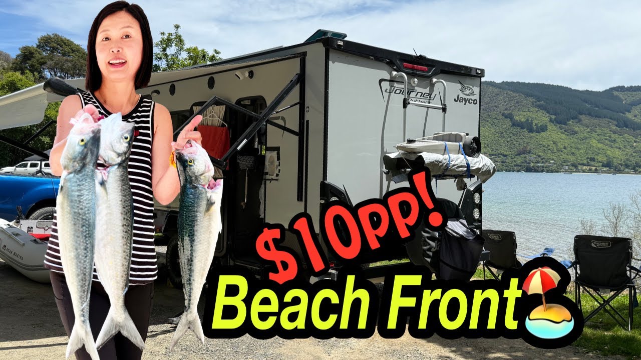 Camping & Fishing Queen Charlotte Sound - Aussie Bay, Grove Arm, NZ