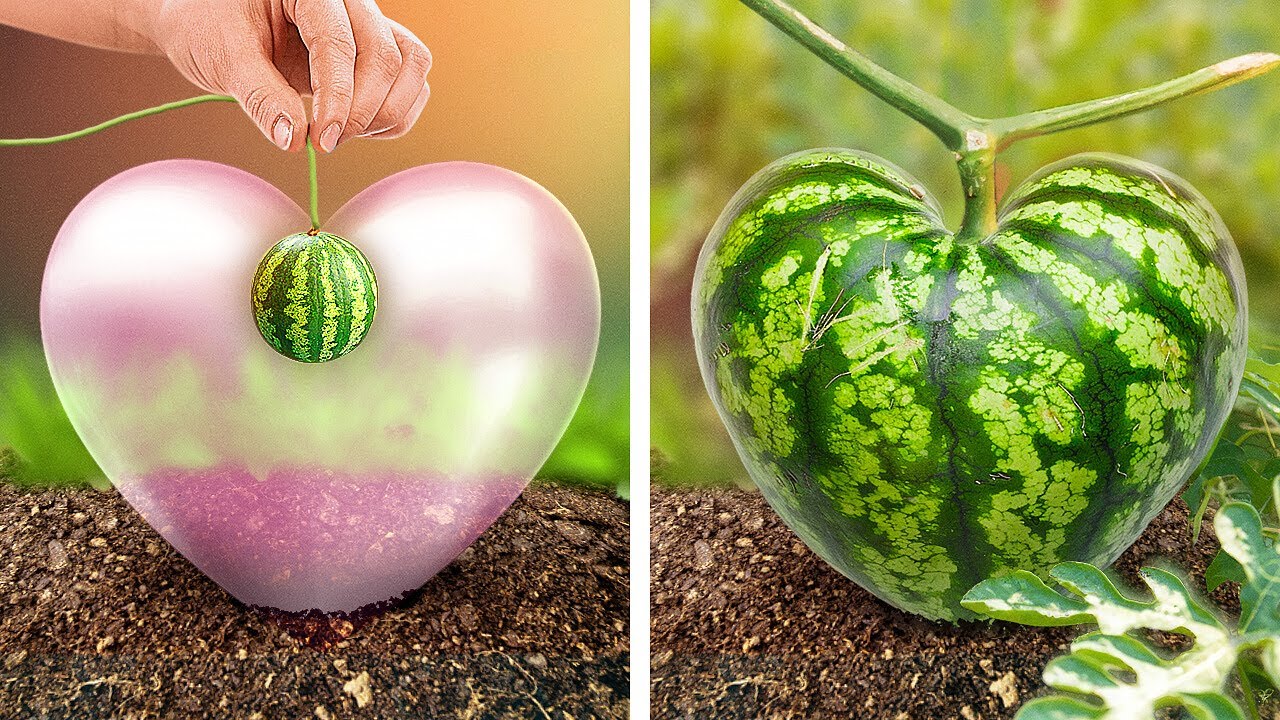 Bahar İçin Yeni Bahçe Hilelerini Keşfedin 🥕🌱🌷 Çiçekler ve Sebzeler İçin Güzel Fikirler