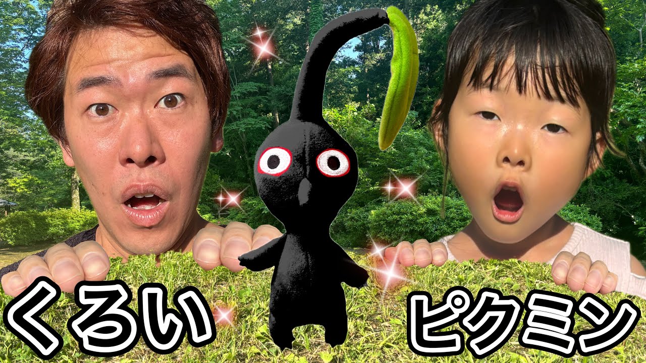 【ごっこ遊び】伝説の黒いピクミンを探す冒険に出たらまさかの…