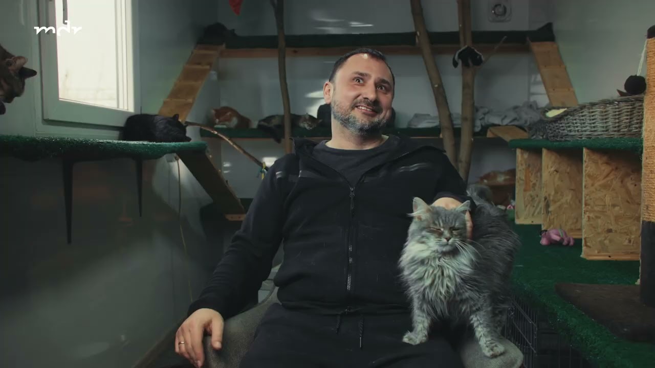 Tiere im Ukraine Krieg Überleben in Trümmern