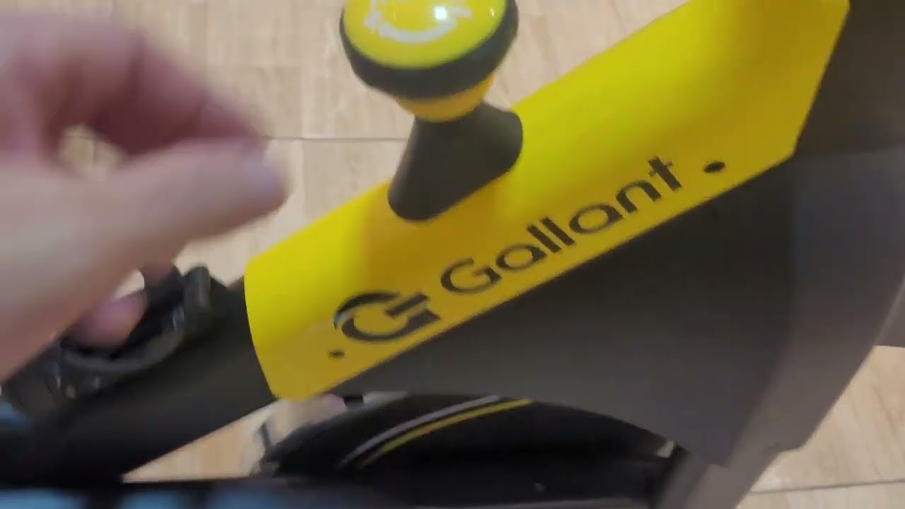 BIKE GALLANT ELITE MAGN&Eacute;TICA DEPOIS DE 1 M&Ecirc;S E 650KM NO ODOMETRO