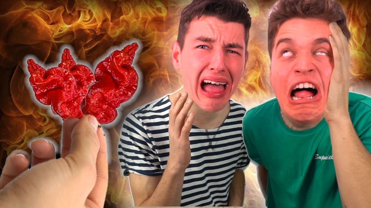 SERIO. NAJOSTRZEJSZA PAPRYCZKA NA ŚWIECIE - CAROLINA REAPER