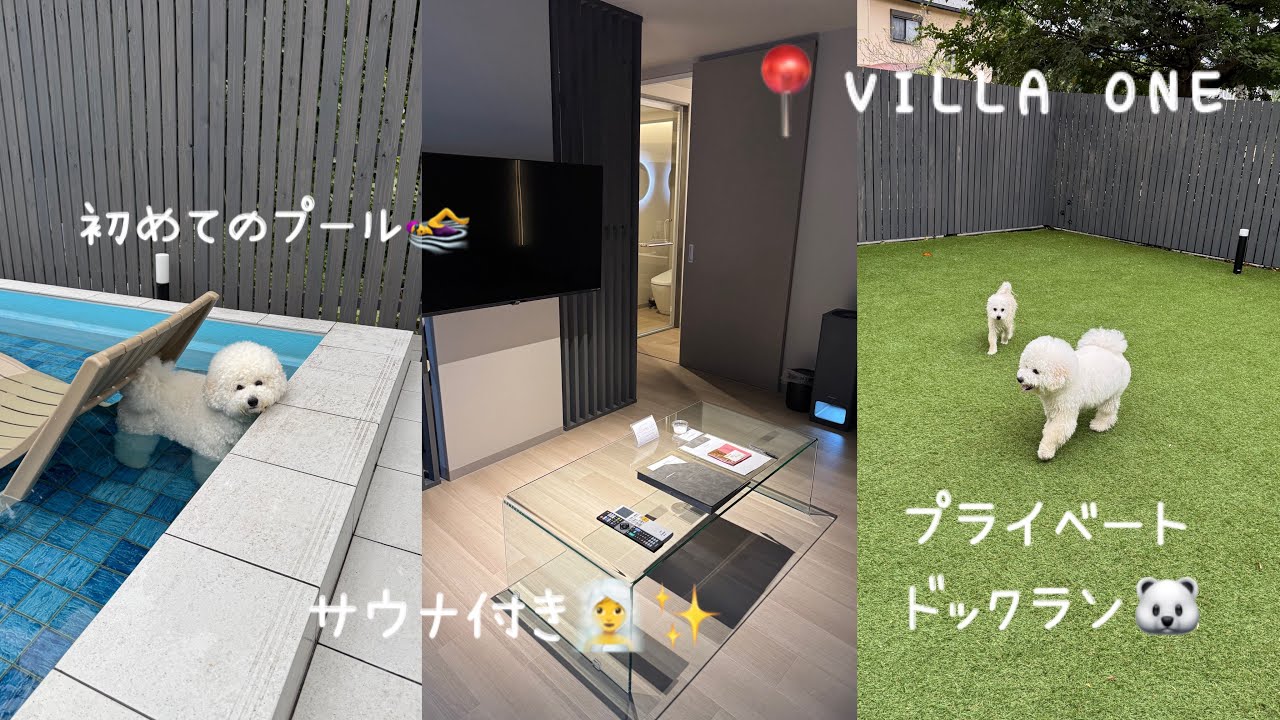 犬と泊まれるプールサウナ付きの1棟貸切ヴィラに行ってきた🐻‍❄️滋賀県🌳 📍VILLA ONE 