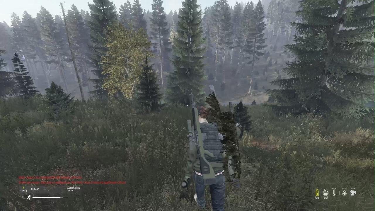DayZ_20260201215619