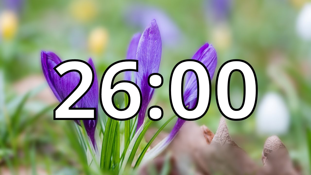 26 Minutes Timer with Music | Spring Timer