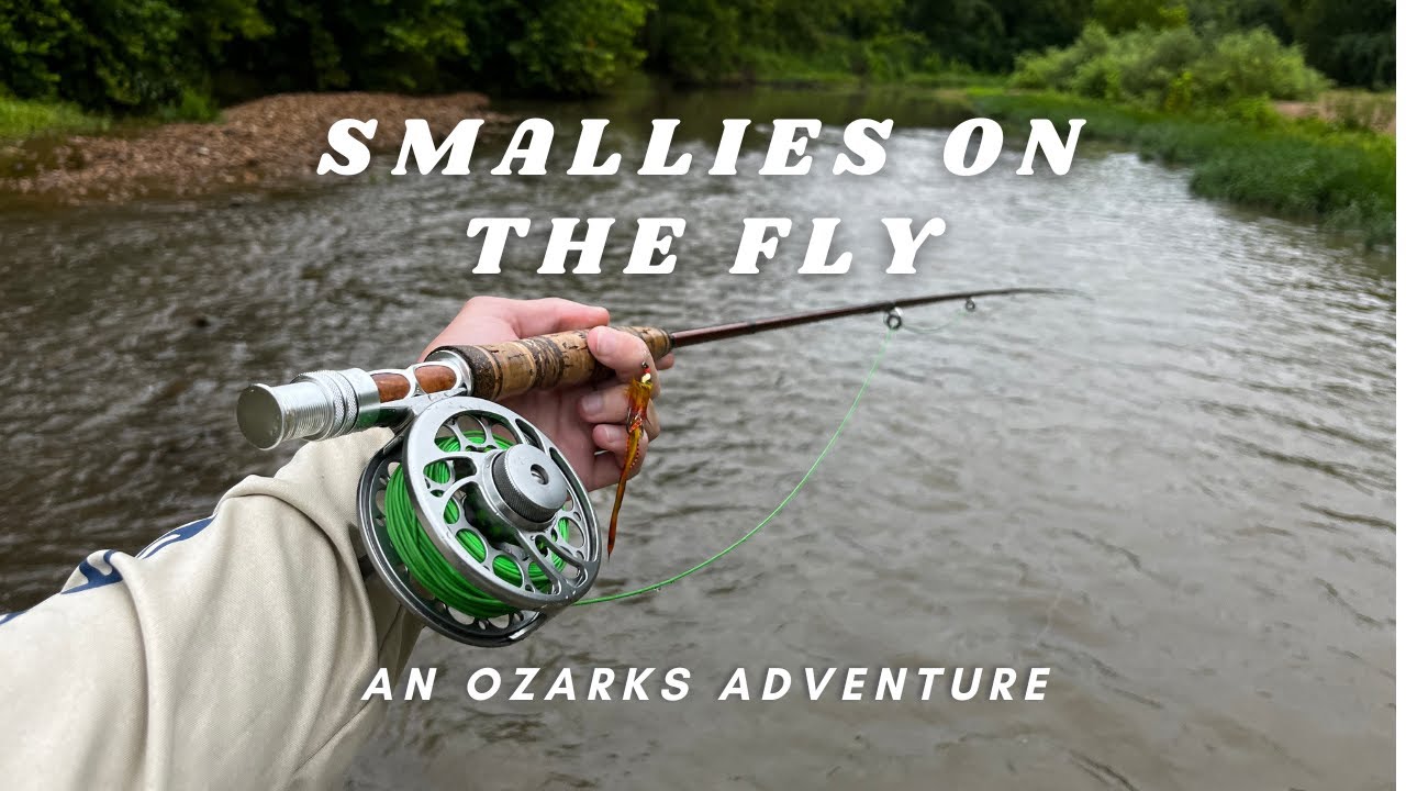 Streamer fishing for smallmouth Bass | small creek big smallmouth