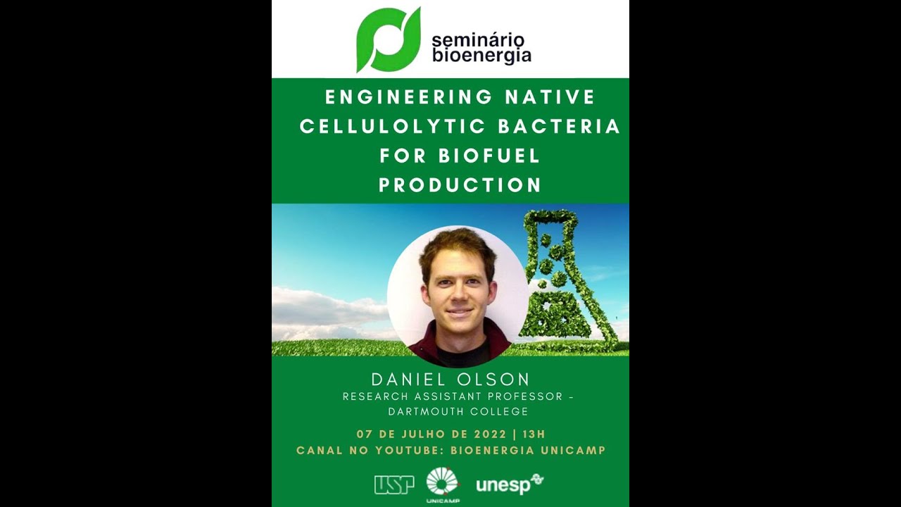 Engineering native cellulolytic bacteria for biofuel production.