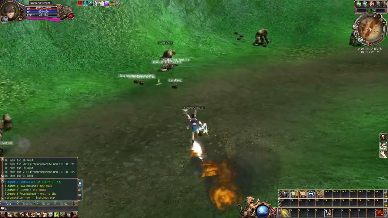 Last Chaos   Fawkes